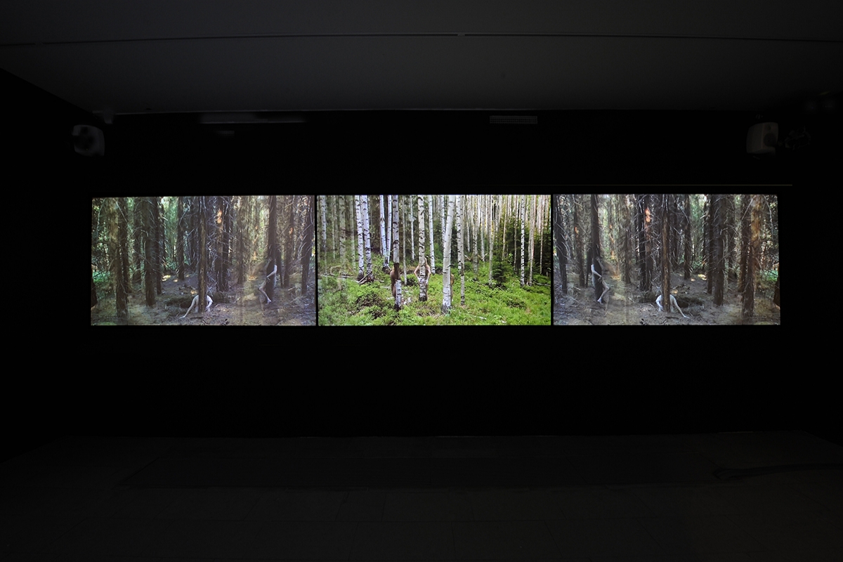 Video installation from 